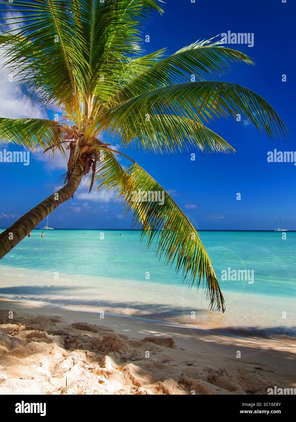 tropical beach in Dominican republic. Caribbean sea. Stock Photo