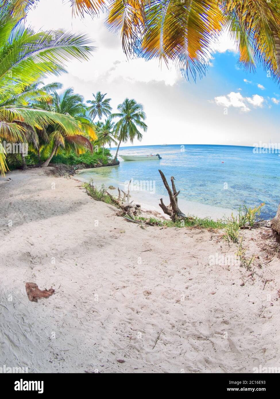 tropical beach in Dominican republic. Caribbean sea Stock Photo