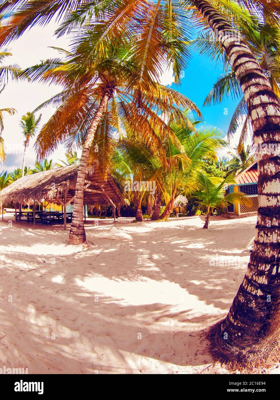 tropical beach in Dominican republic. Caribbean sea. Saona island Stock Photo