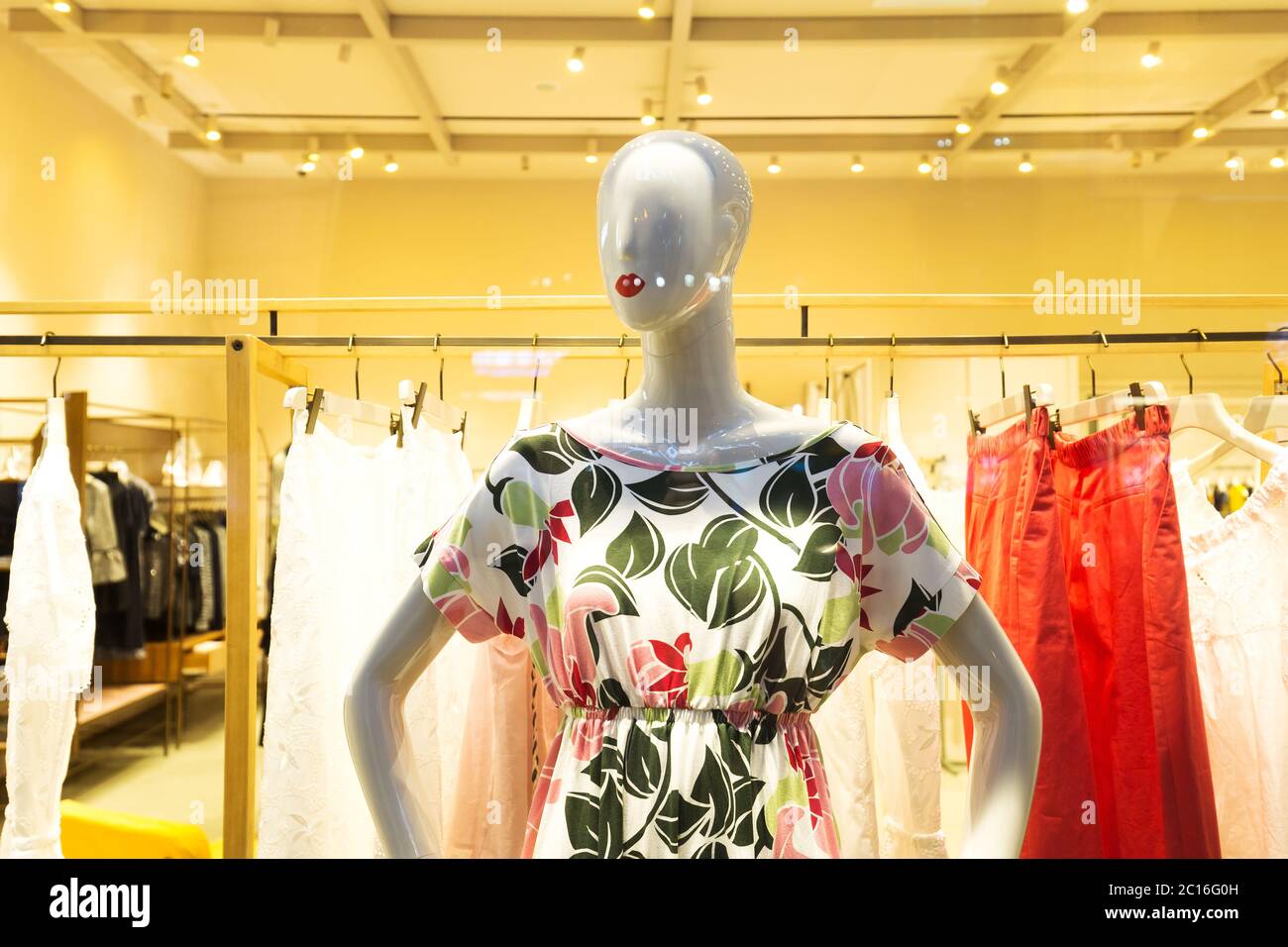 Clothing Store Fashion Shop Boutique Women Clothes Stock Image - Image of  mannequins, dress: 57579143
