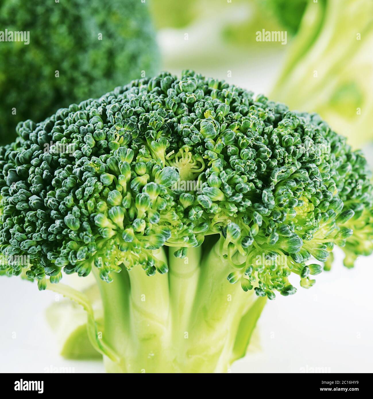 Close up raw broccoli hi-res stock photography and images - Alamy