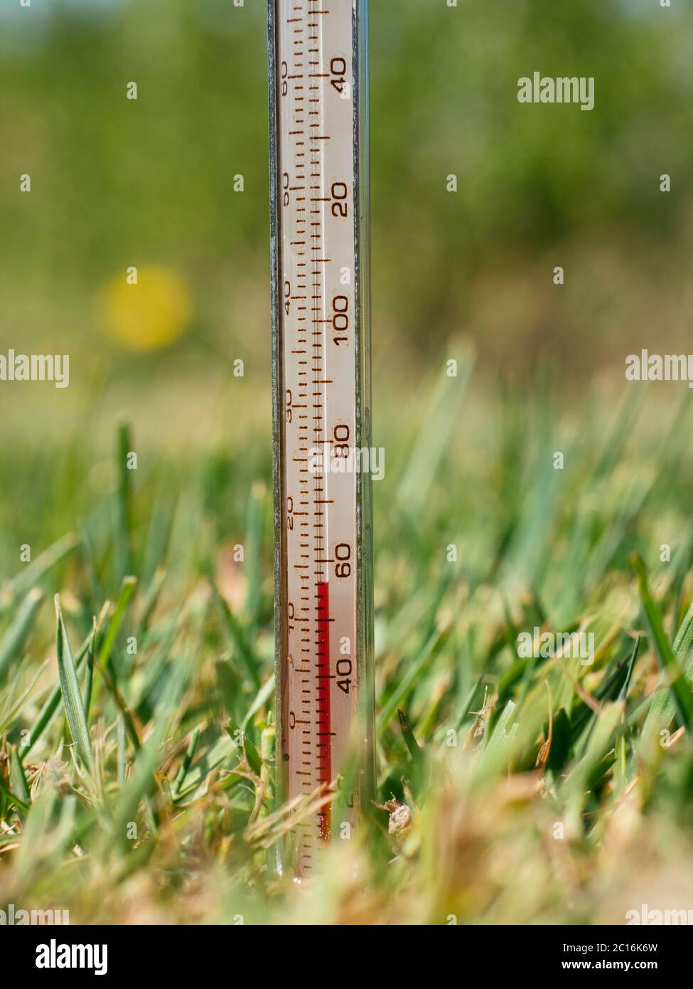 Checking soil temperature for planting grass seed Stock Photo Alamy