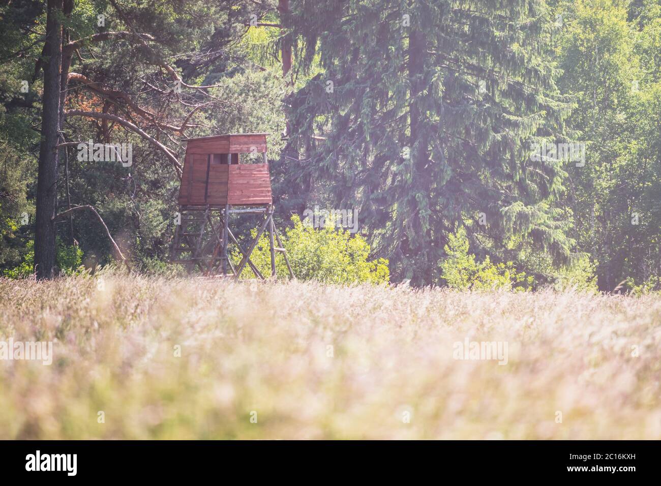 wooden hunting blind on the edge of the forest, near the meadow, sunny day Stock Photo
