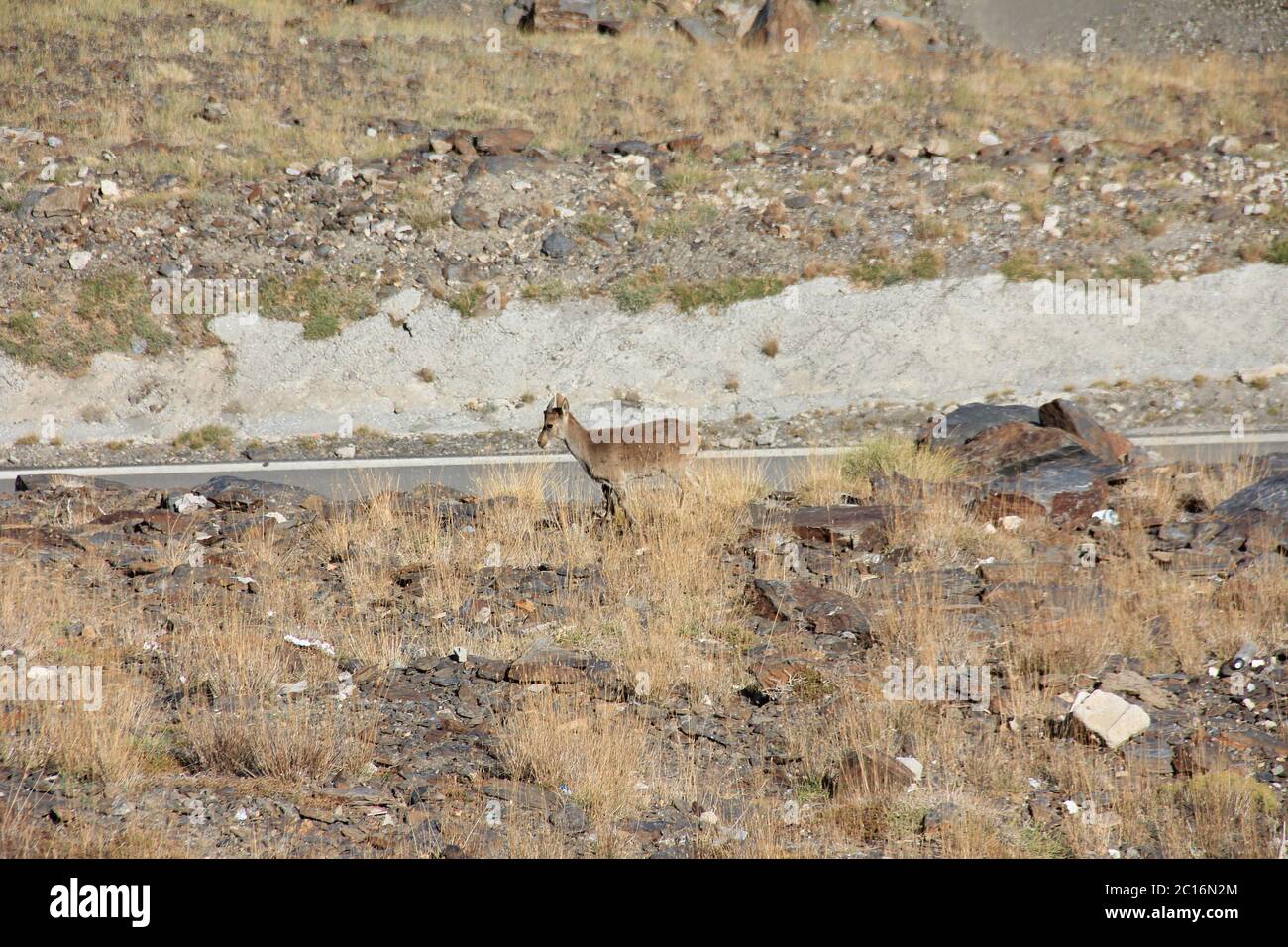 Sierra Nevada in Spain Stock Photo - Alamy