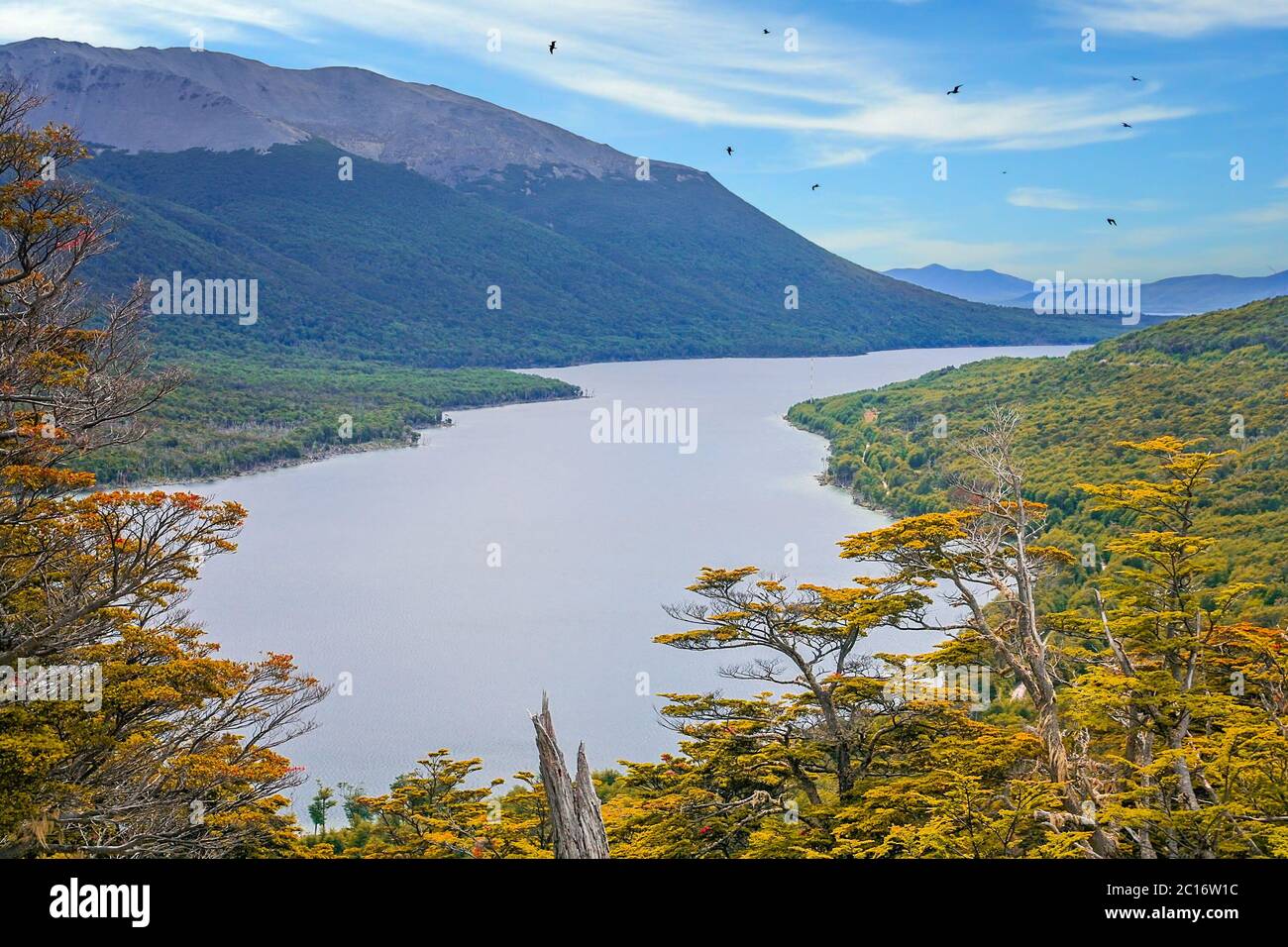 Argentinian green lake Stock Photo