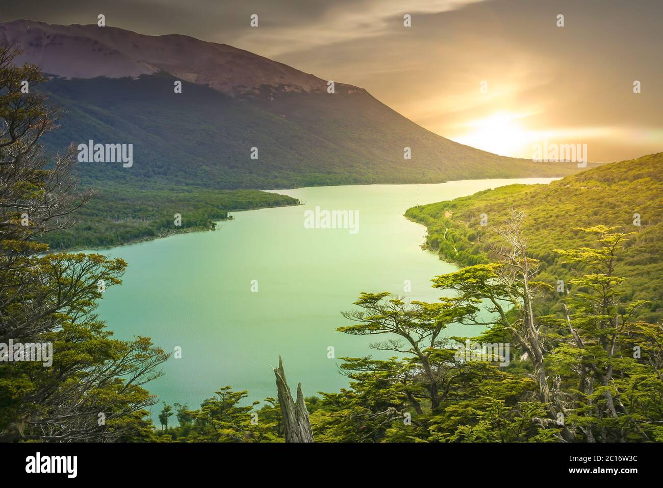 Argentinian green lake Stock Photo
