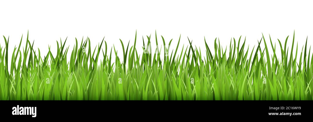 eps vector background template file of seamless panorama green summer grass on lower side for summer or spring designs Stock Vector