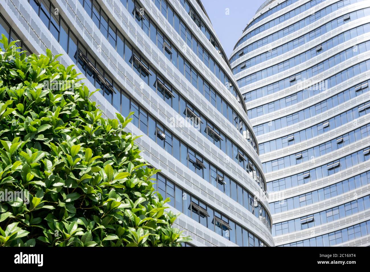 modern office building with glass wall Stock Photo - Alamy