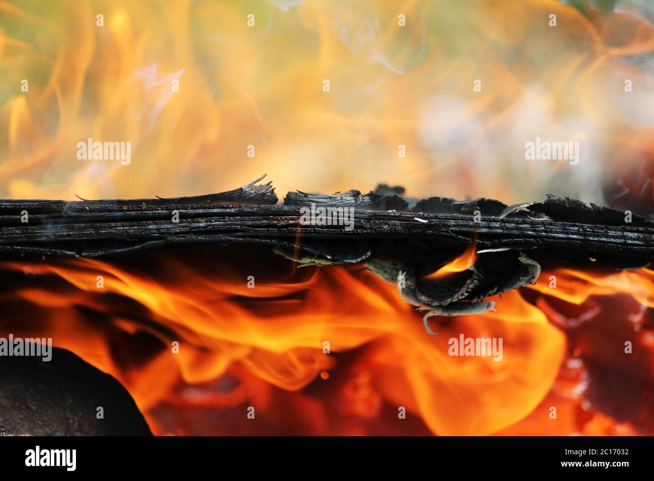 Old plywood beautifully burns in the fire with the formation of texture ash. Stock Photo