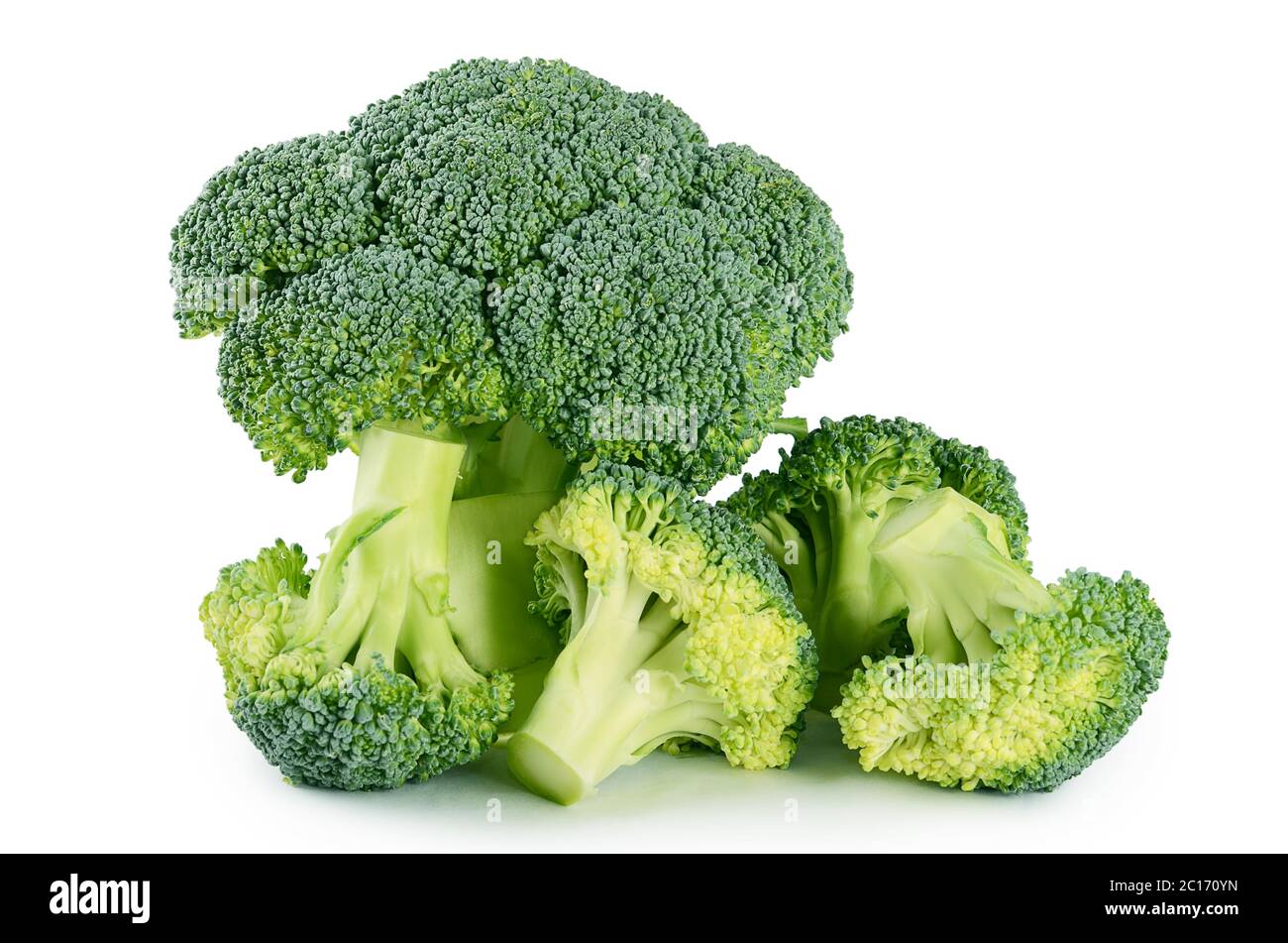 Fresh broccoli isolated on white background Stock Photo