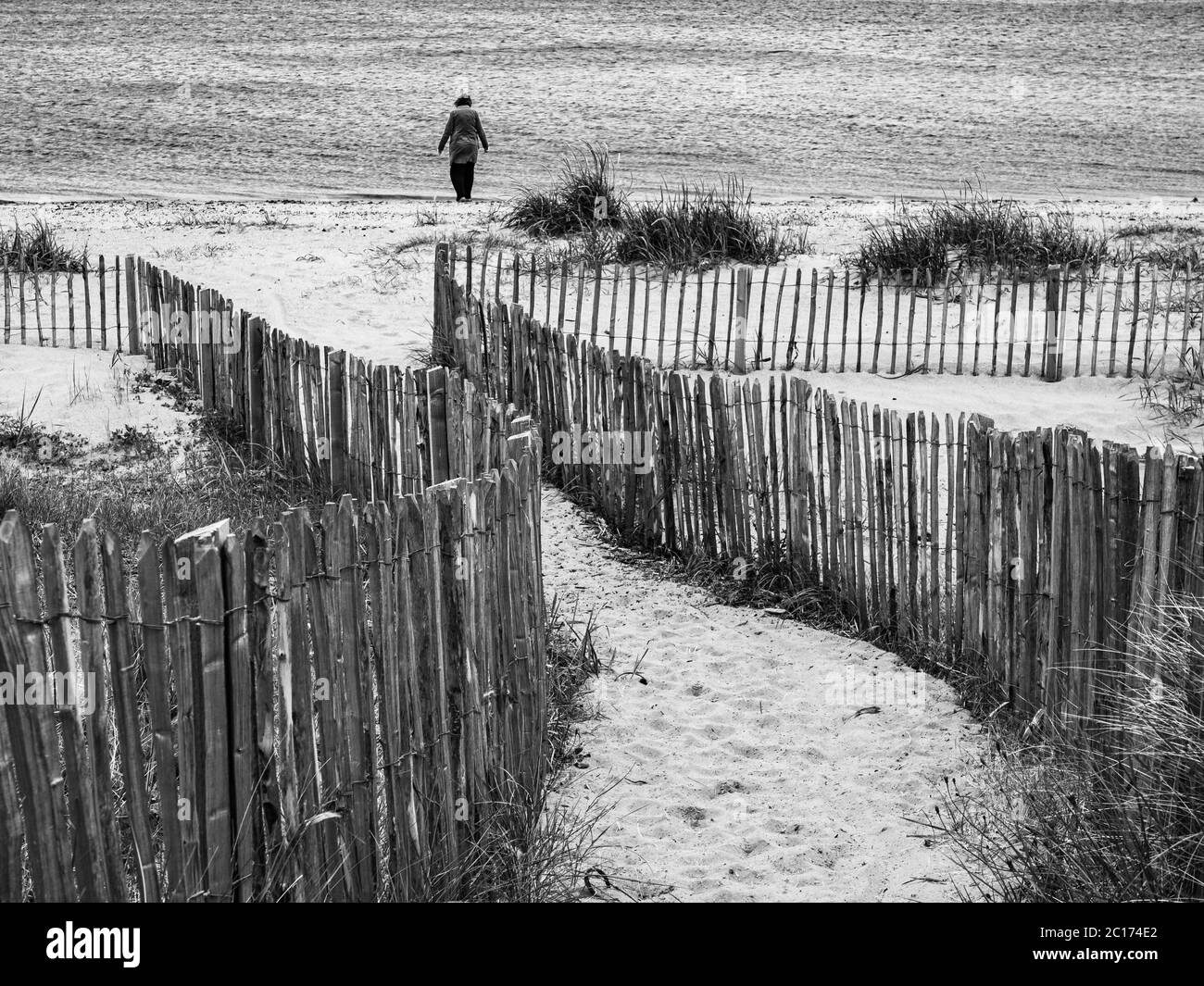 Dune fencing at Broughty Ferry, Dundee, Scotl;and, United Kingdom. Stock Photo