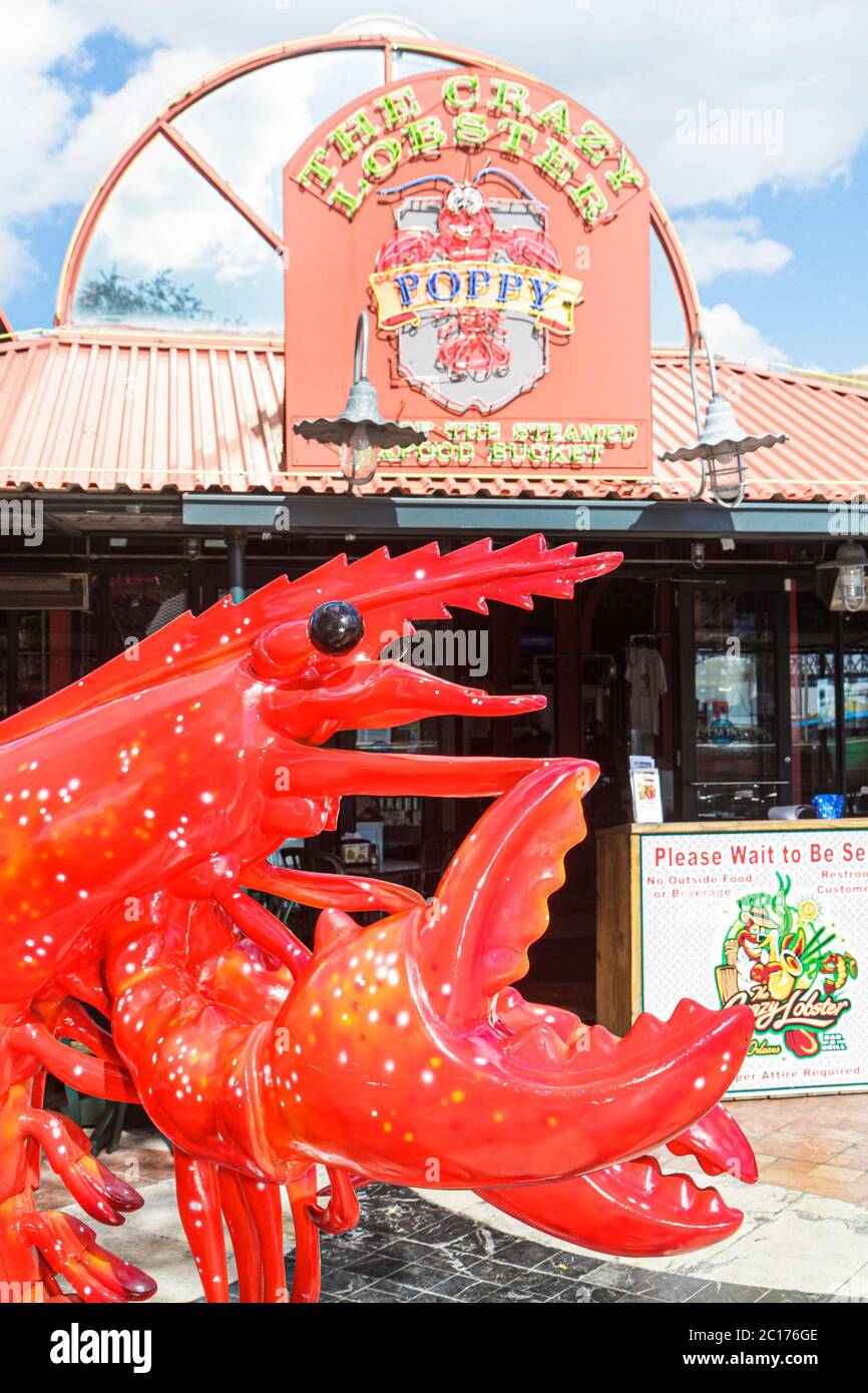 美品16/17 LOBSTER PARK BOARD151cm control panel assembly: elite two – Lobster Sports