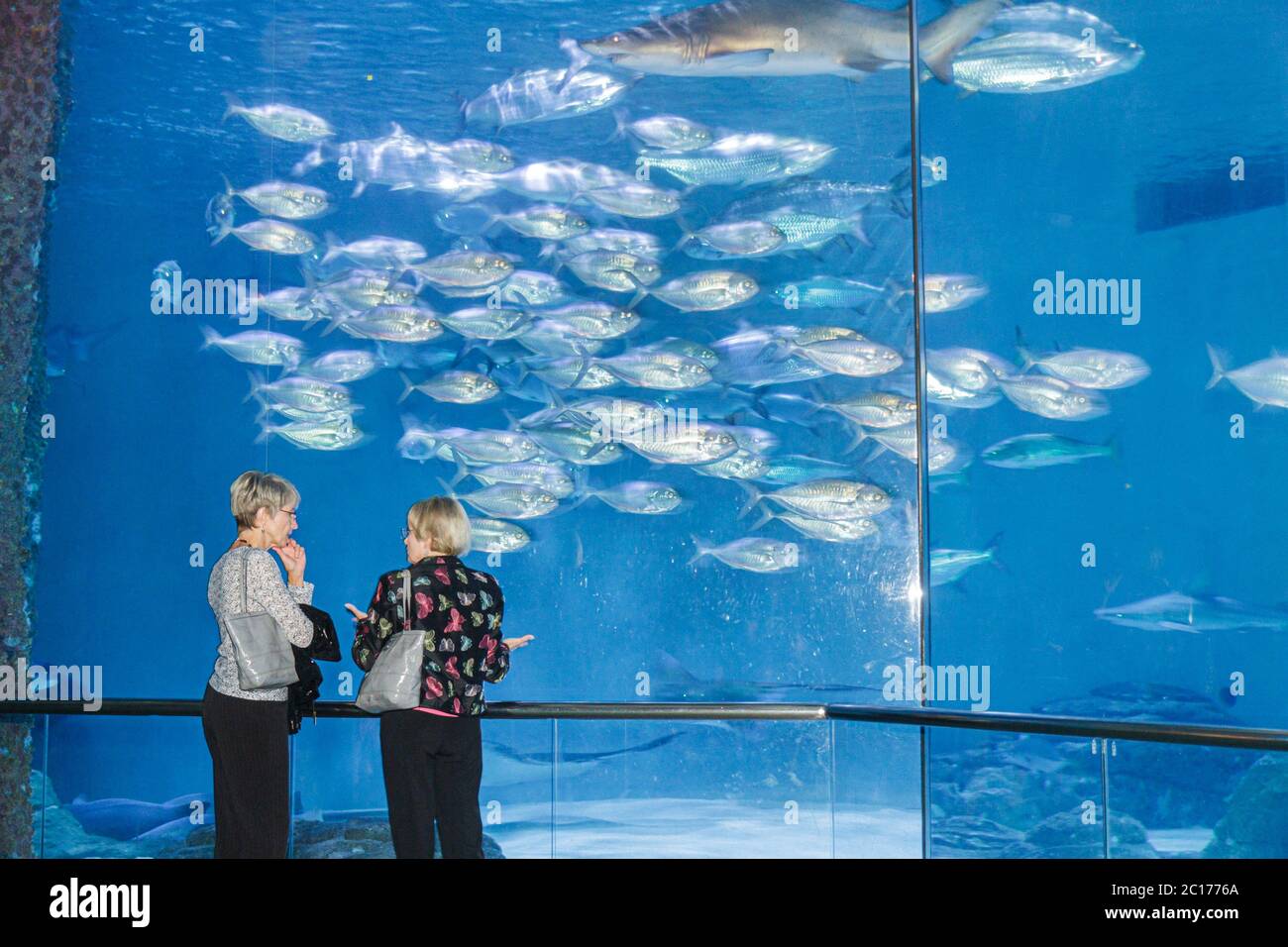 New Orleans Louisiana,Woldenberg Riverfront Park,Audubon Aquarium of