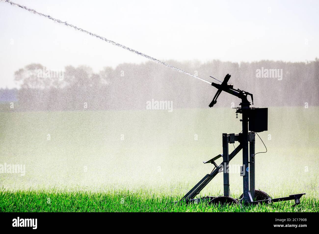 Water sprinkler installation in a field of maize Stock Photo