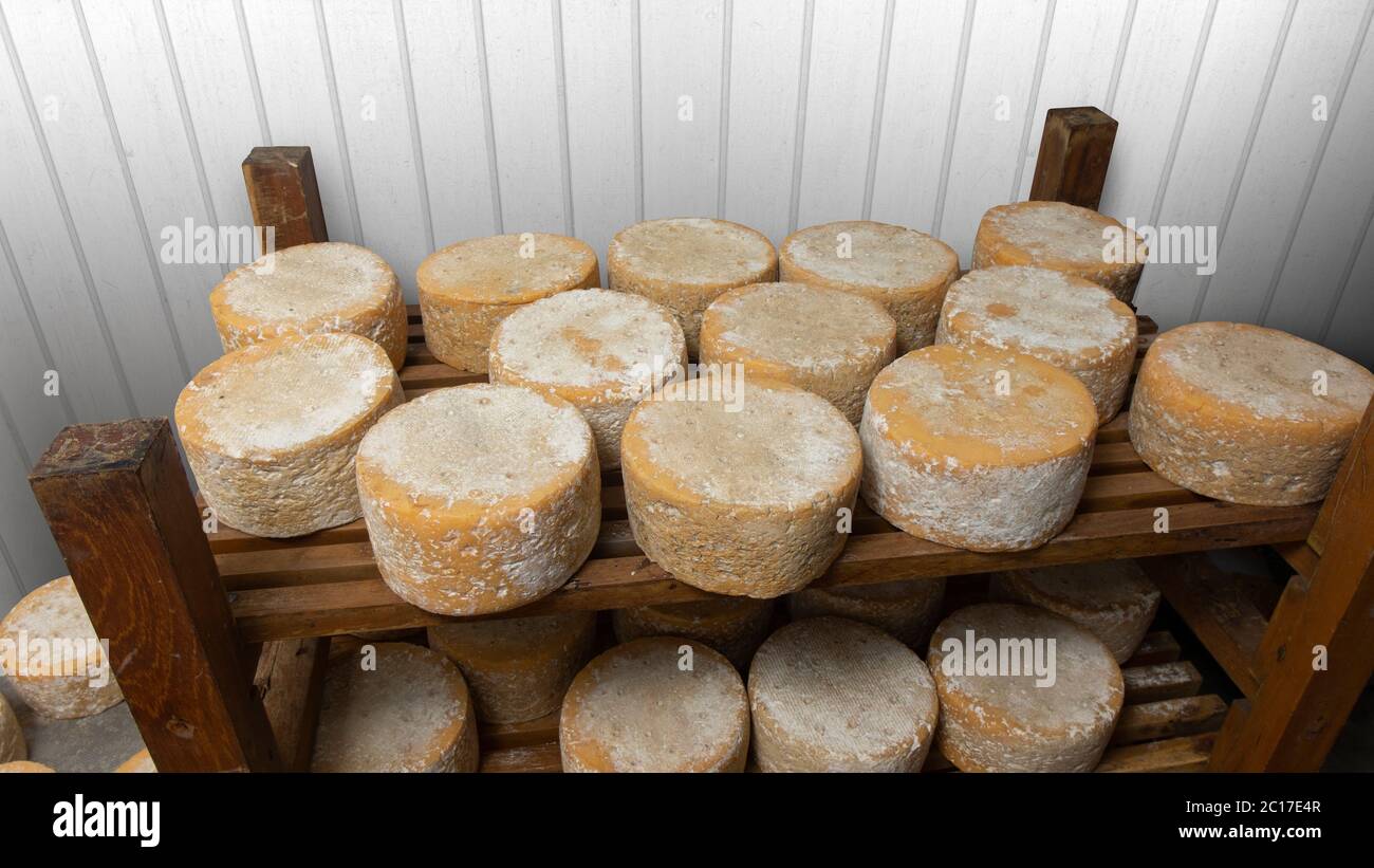 Cheese Storage Stock Photo, Picture and Royalty Free Image. Image 20177186.