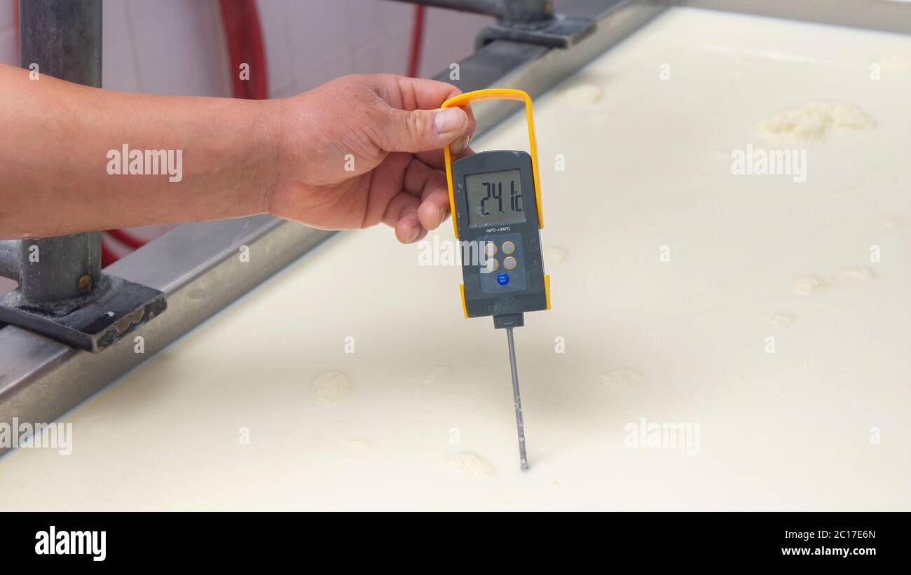 Close up of worker checking the serum temperature while cooking in the tank. Cheese manufacturing process Stock Photo
