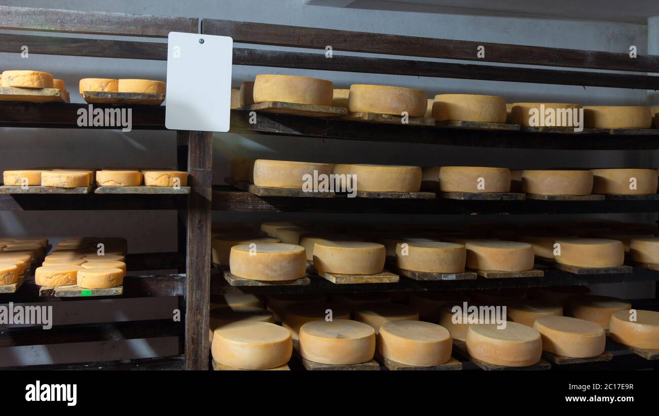 https://c8.alamy.com/comp/2C17E9R/approach-to-a-batch-of-cheeses-on-wooden-boards-inside-a-cheese-aging-cellar-2C17E9R.jpg