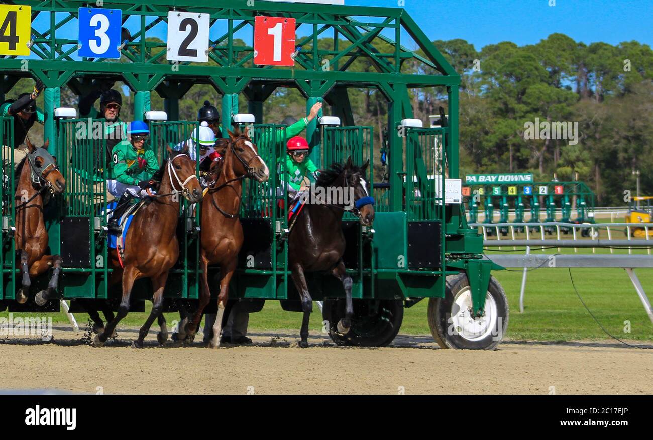 Horse racing starting gate hires stock photography and images Alamy