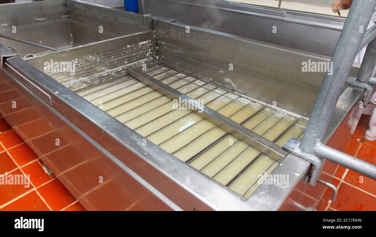 View of industrial tank to make cheese in operation. Cheese manufacturing process Stock Photo