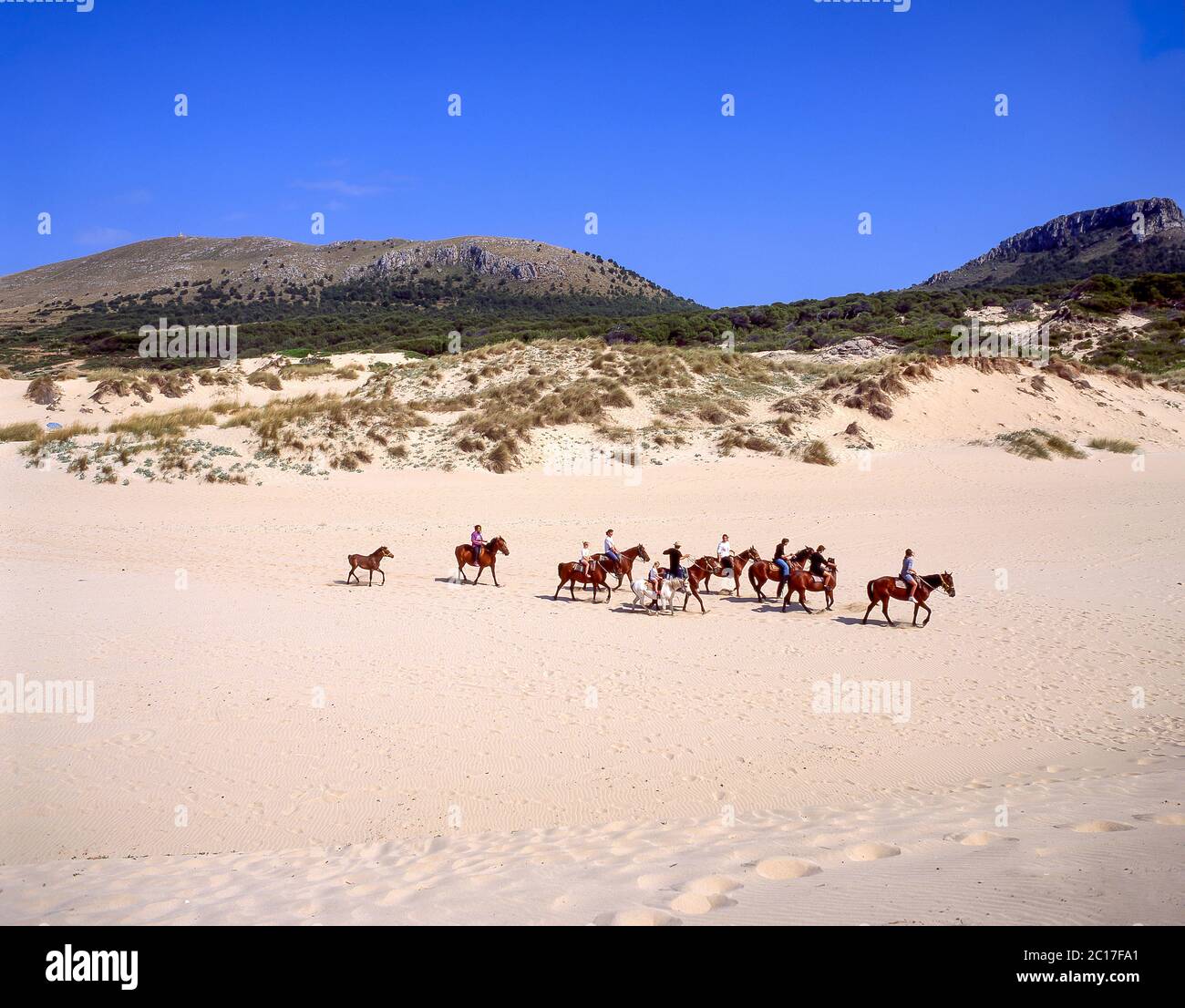 Horse riding across beach and dunes, Cala Mesquida, Majorca (Mallorca), Balearic Islands, Spain Stock Photo
