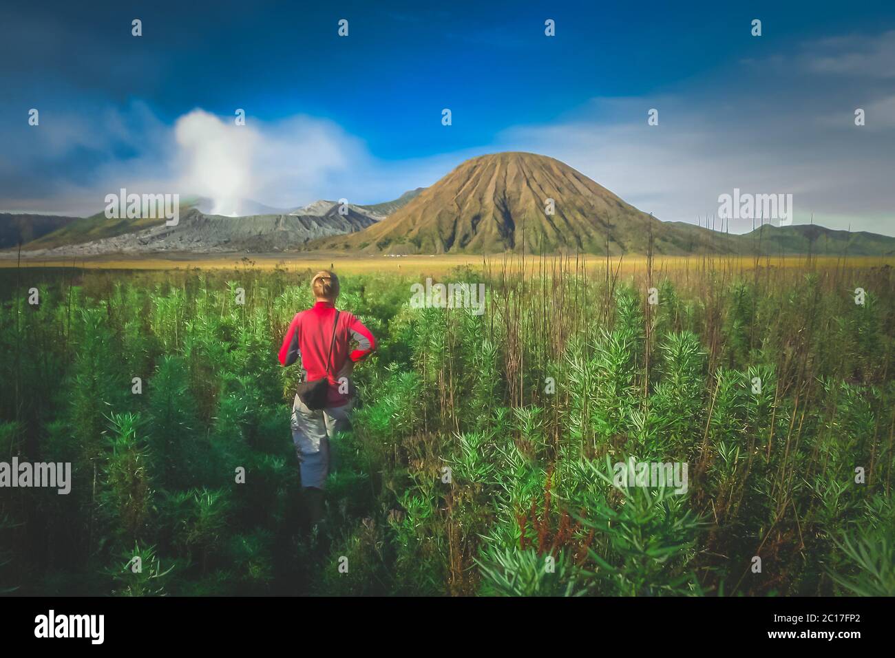 Menaklukkan Keindahan Bromo: Panduan Lengkap Trekking untuk Pemula dan Profesional