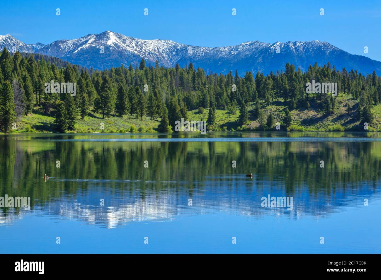 Mt d8747 hires stock photography and images Alamy