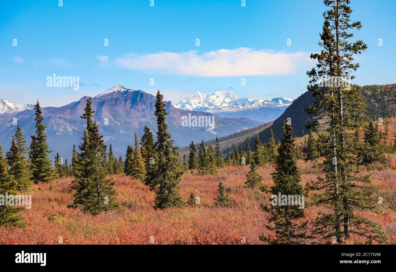 White mountains forest preserve hi-res stock photography and images - Alamy