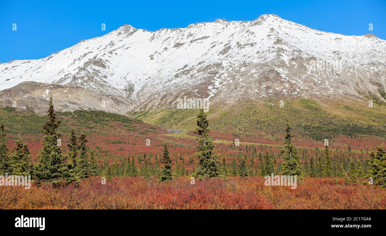 White mountains forest preserve hi-res stock photography and images - Alamy