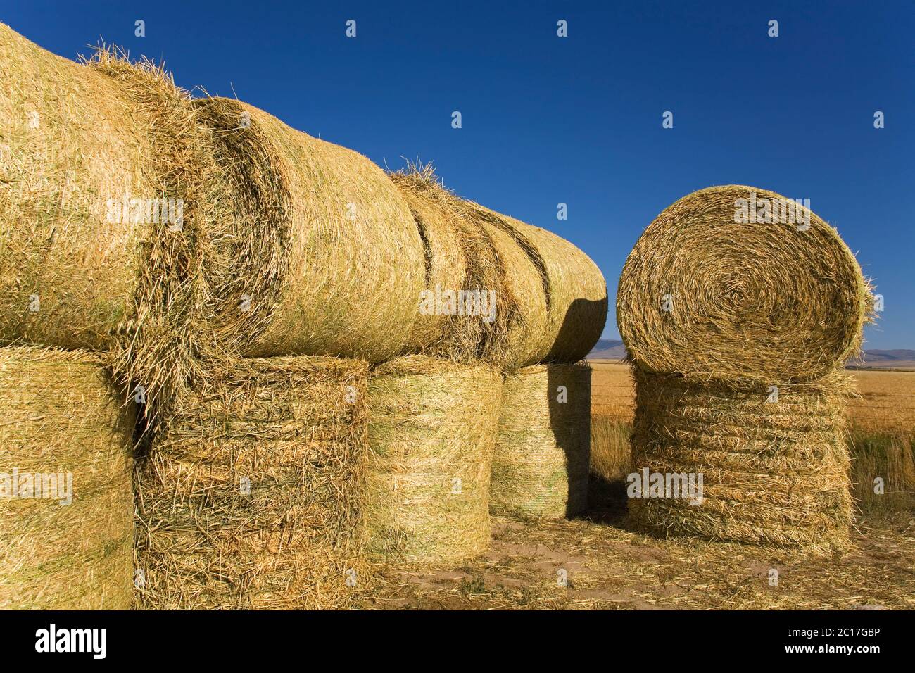 Hay bales near Twin Bridges, Bozeman region, Montana, USA Stock Photo