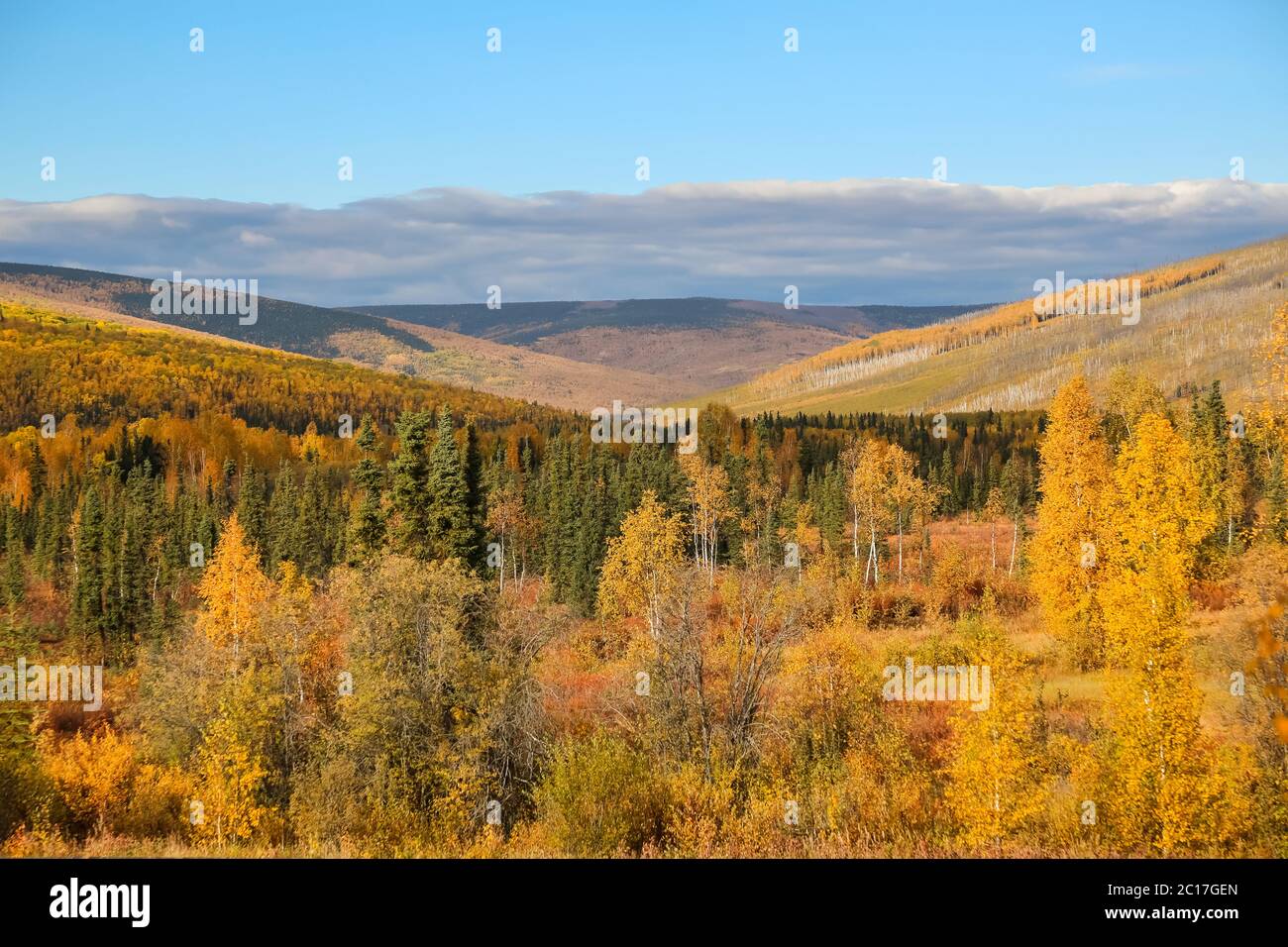 Scenic fall landscape, Steese Highway, Alaska Stock Photo Alamy