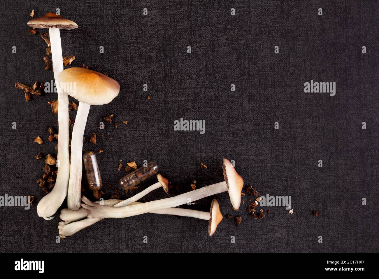 Psychedelic mushrooms with copy space. Stock Photo