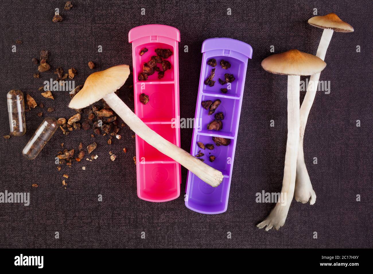 Fresh and dried magic mushrooms. Stock Photo
