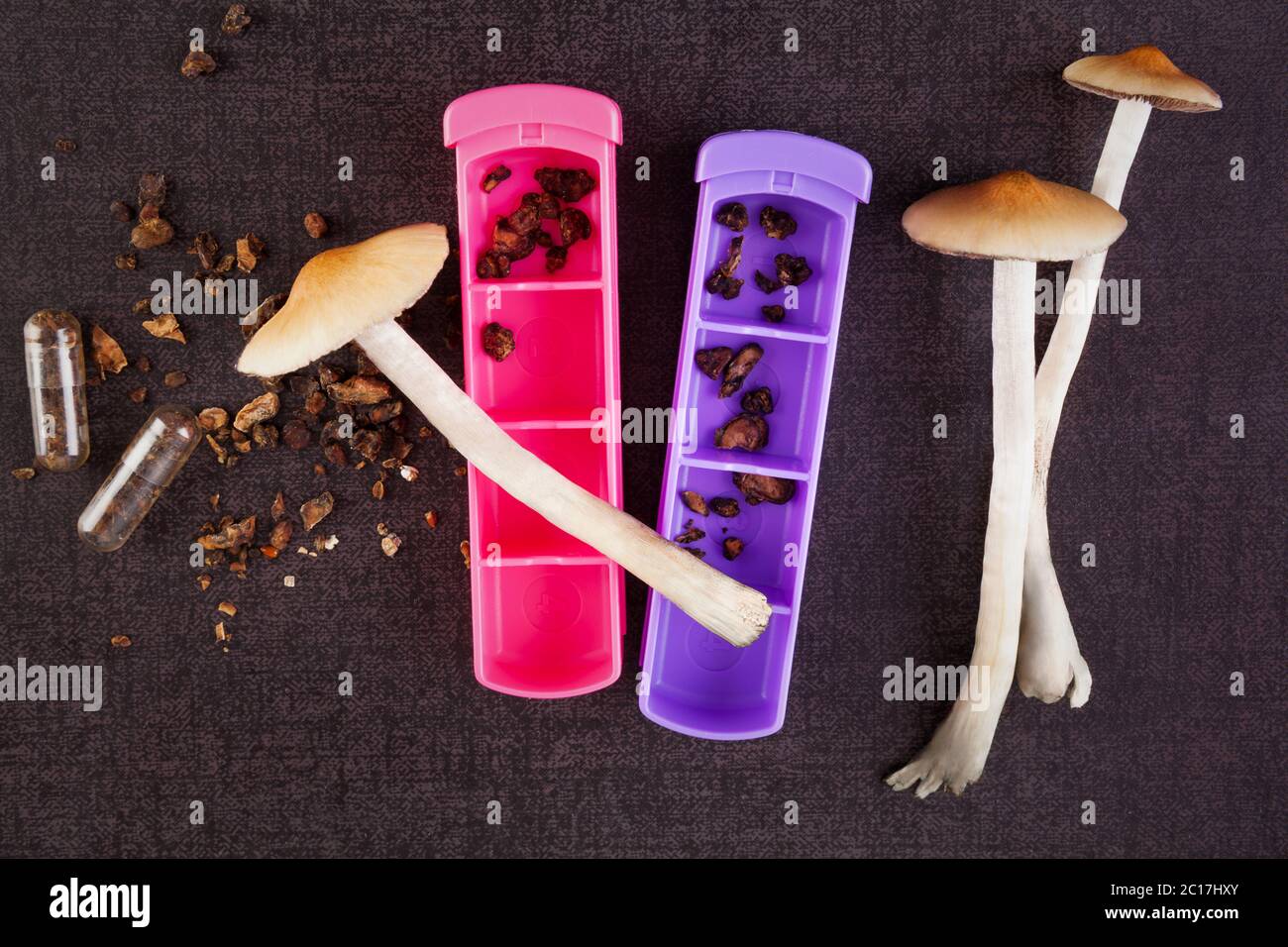 Fresh and dried magic mushrooms Stock Photo Alamy