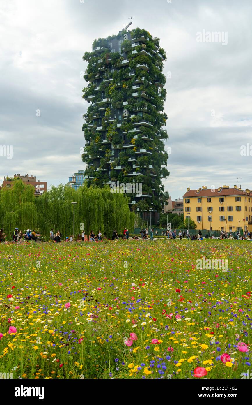 Bosco Verticale, modern towers with plants in Milan, Lombardy, Italy, seen from the park known as Biblioteca degli Alberi at springtime with flowers Stock Photo