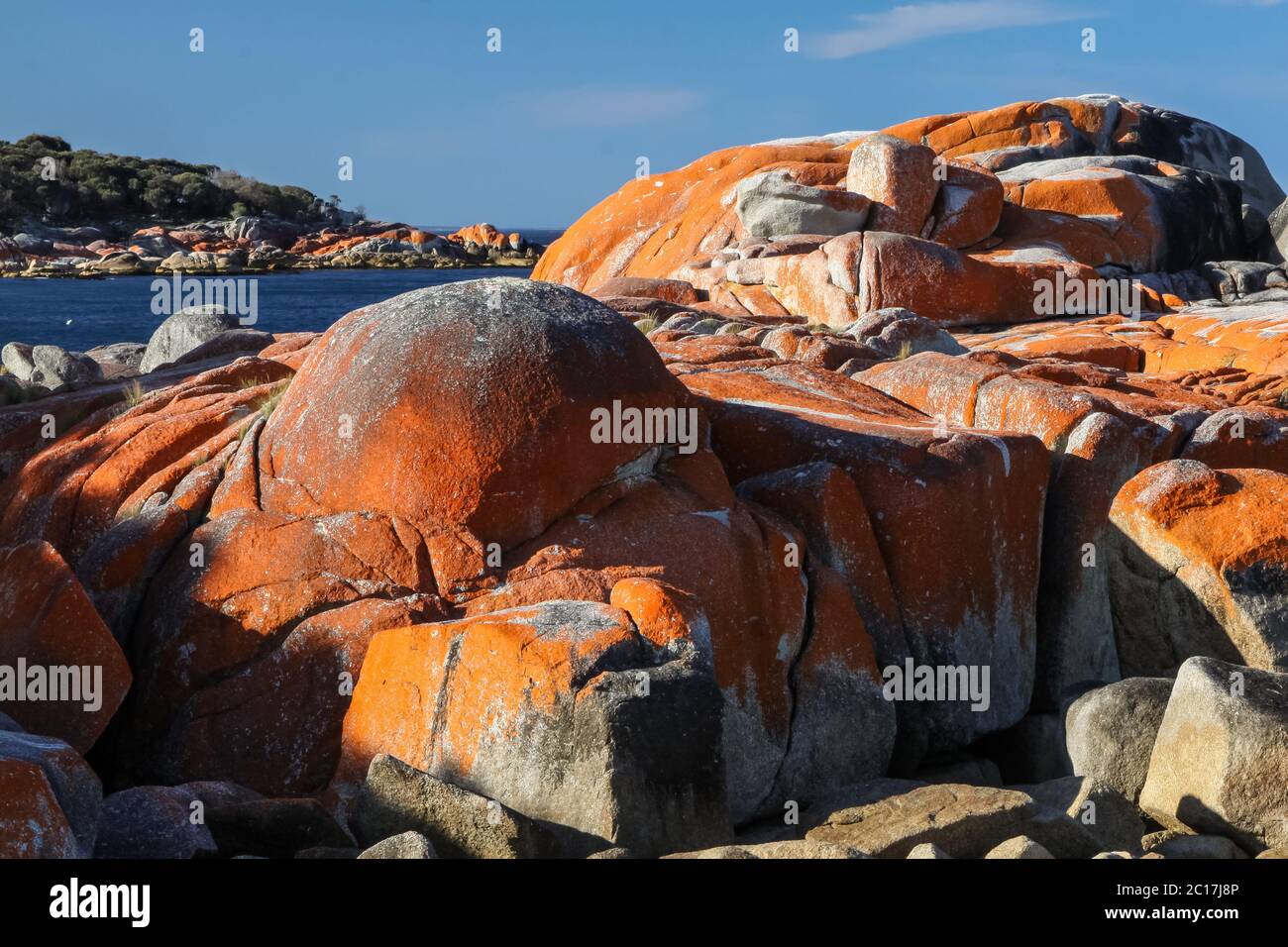 Lichen covered rocks, Bay of Fires, Tasmania, Australia Stock Photo