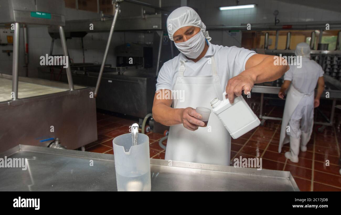 Zuleta, Imbabura / Ecuador - November 9 2018: Laborer placing Lactococcus, Lactobacillus or Streptococcus in a glass before placing it in the tank. Ch Stock Photo