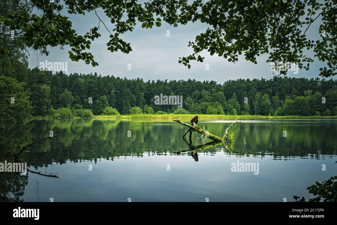 Buzzing hires stock photography and images Alamy