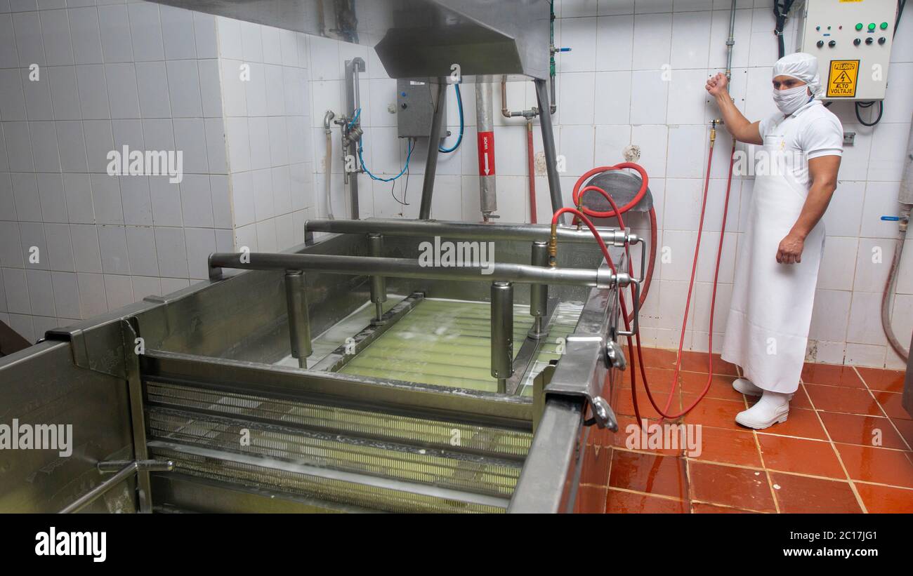 Zuleta, Imbabura / Ecuador - November 9 2018: Workers compacting the whey in a tank inside a cheese factory. Cheese manufacturing process Stock Photo