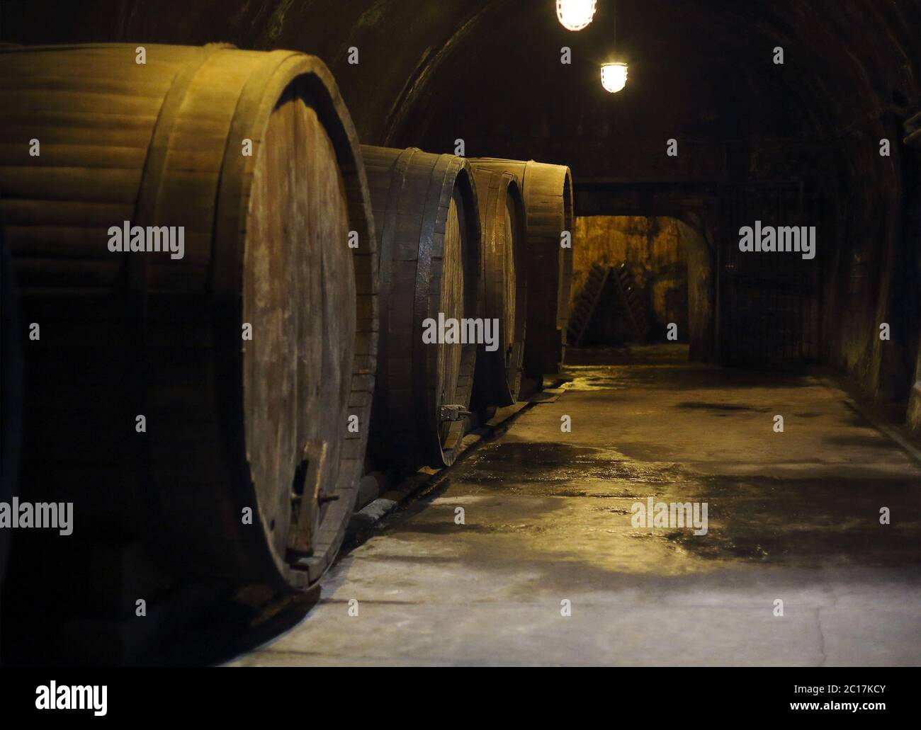Old big oak barrels in winery cellar Stock Photo Alamy