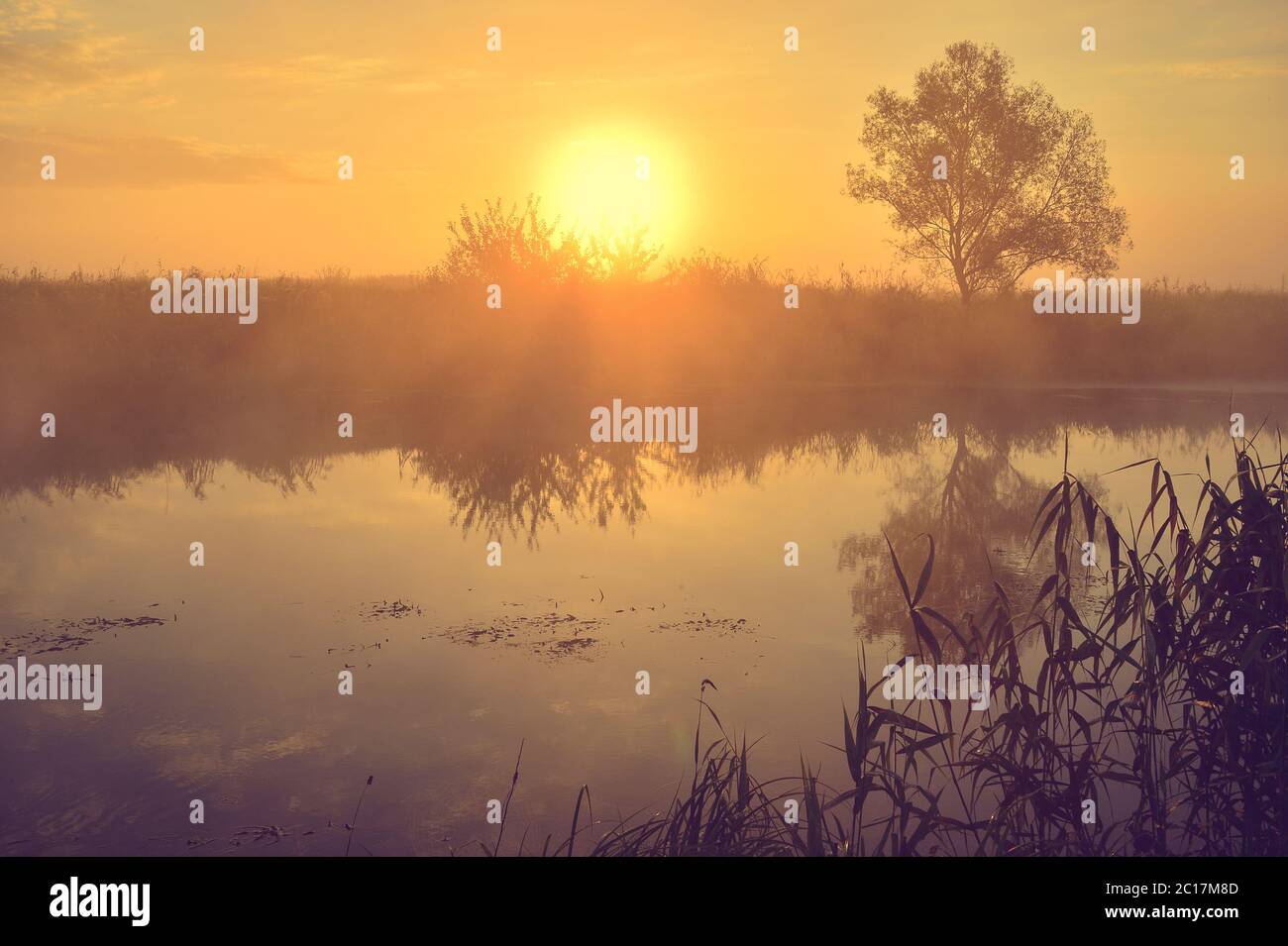 Photo with a summer sunrise by river and tree Stock Photo - Alamy