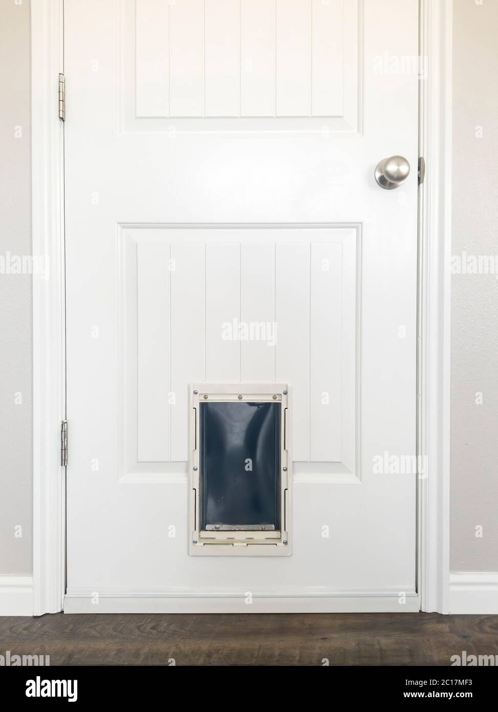 Close up of white wooden panelled door with small pet door at the bottom Stock Photo Alamy