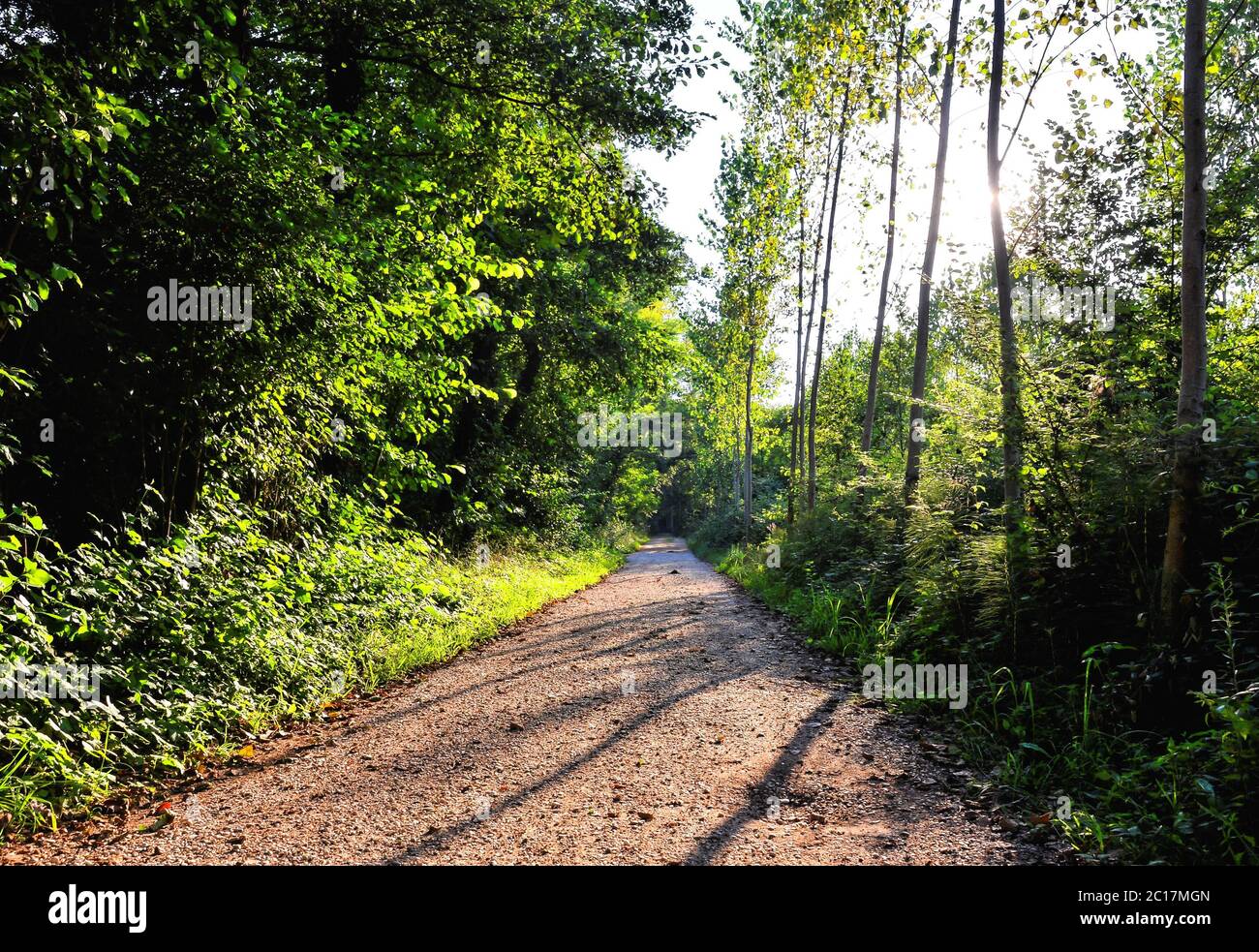 Countryside Desert Dirt Path Stock Photo - Alamy