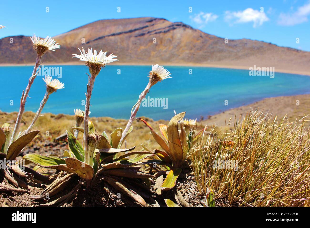Picturesque Lake at the Volcanic Plateau of Tongariro Alpine Crossing in New Zealand Stock Photo