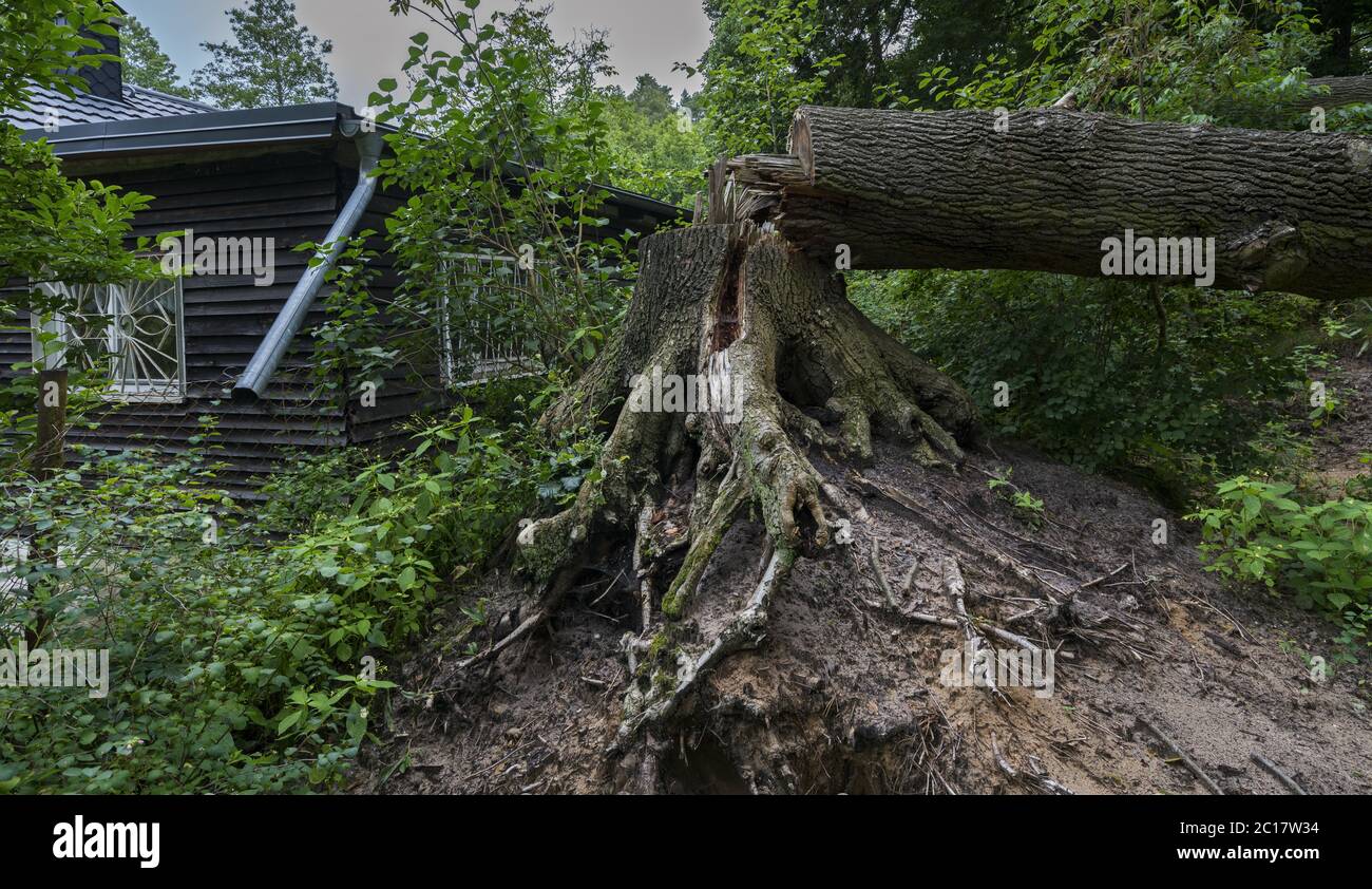 Storm damage storm hi-res stock photography and images - Alamy