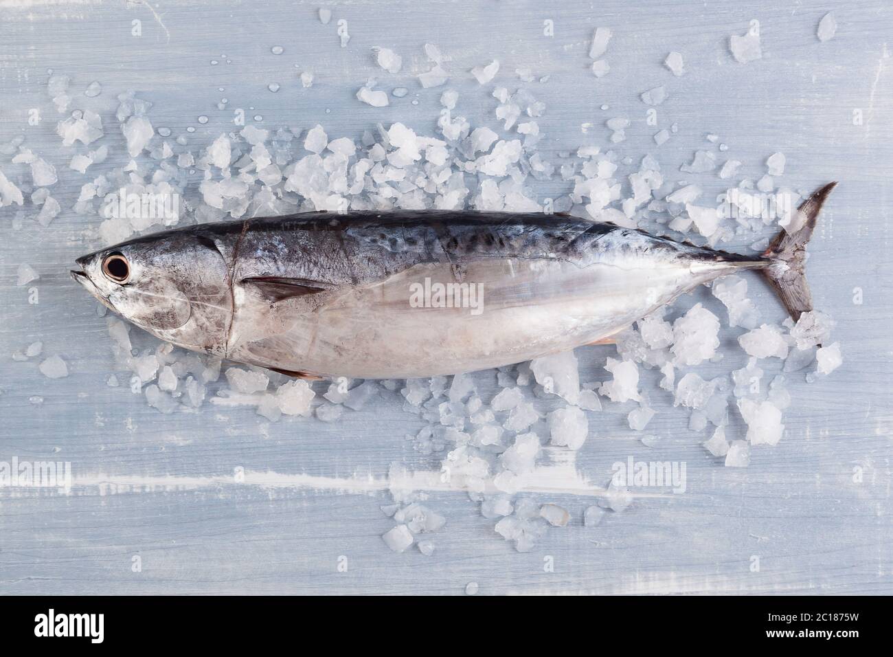 Fresh tuna fish on ice Stock Photo