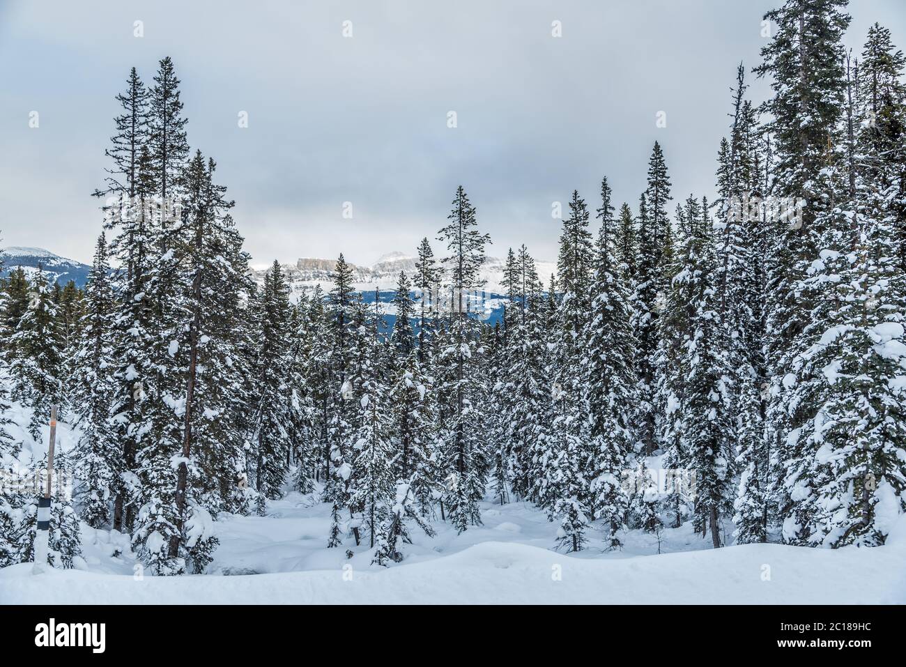 Lake Louise in Banff Park in winter time, Alberta, Canada Stock Photo ...