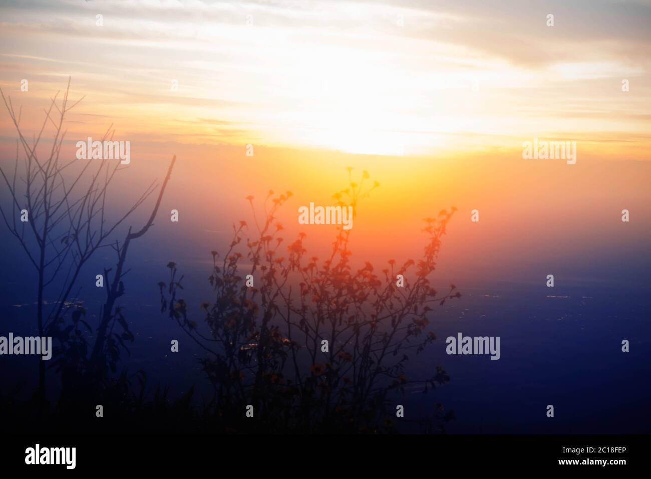 Sunrise with a fog in the winter. Stock Photo