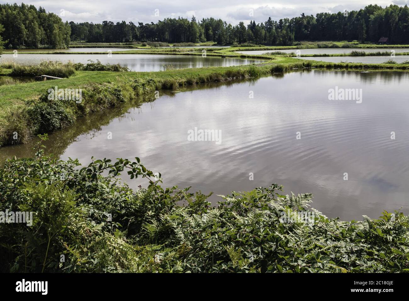 Land of thousand lakes, Tirschenreuther pond land, Upper Palatinate