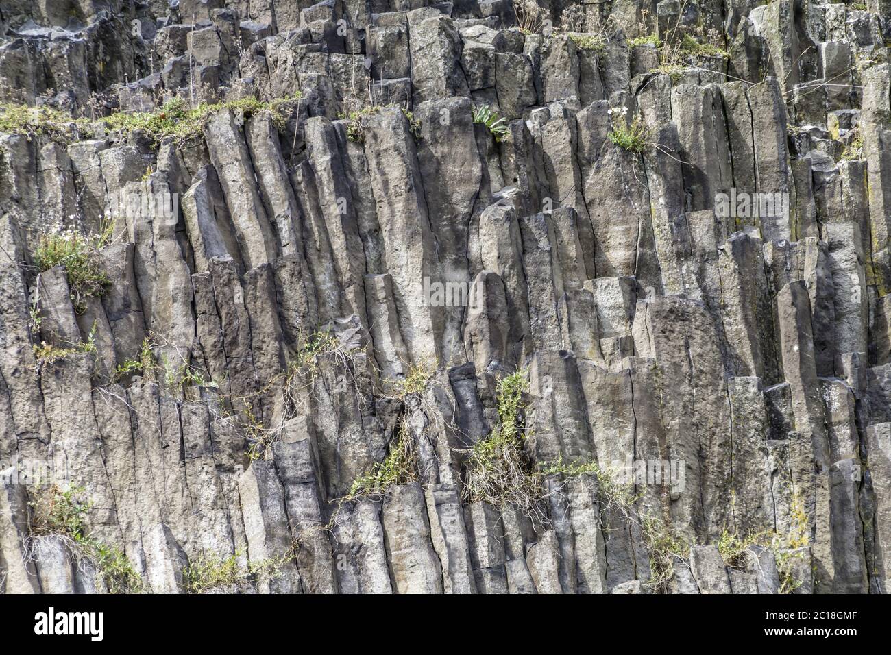Basallt columns in the high park stone, Upper Palatinate, Bavarians, Germany Stock Photo