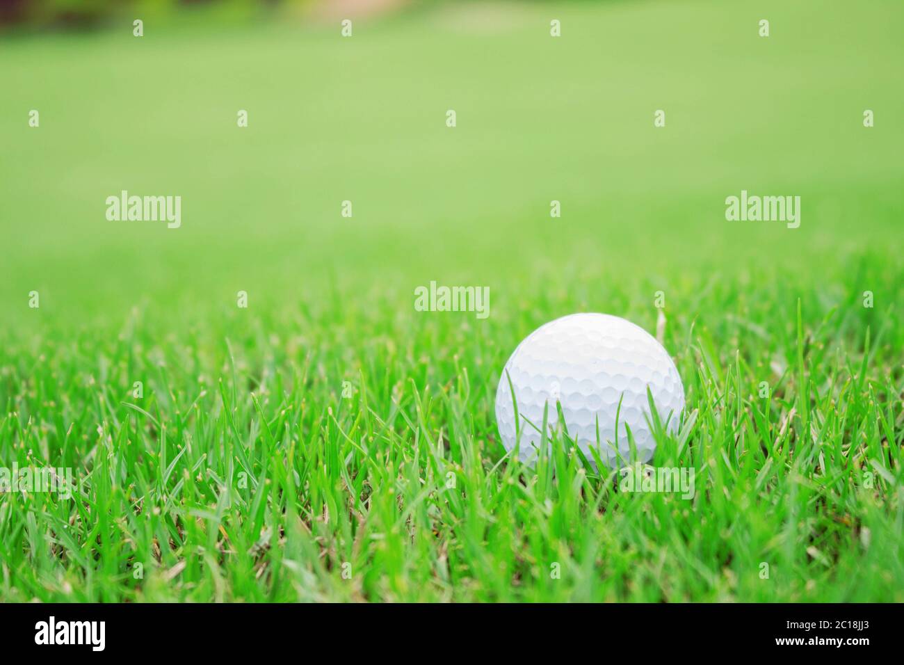 golf ball on green lawn Stock Photo Alamy